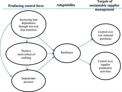 Enhancing the resilience of sustainable supplier management through the combination of win‒win lean practices and auditing mechanisms—An analysis from the resource-based view